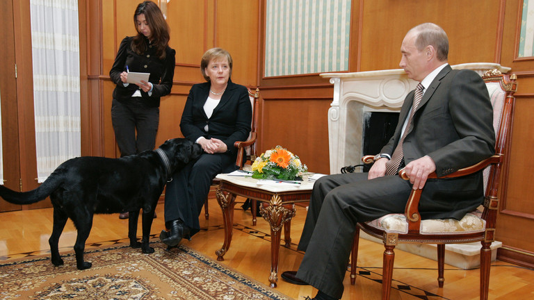 Vladimir Putin Apologizes to Angela Merkel for Bringing Dog to 2007 Meeting 1 Vladimir Putin