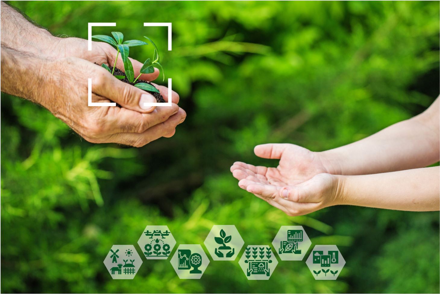 Reforms and Innovations Create a Solid Foundation for Sustainable Development of Agriculture in New Uzbekistan 1 Uzbekistan