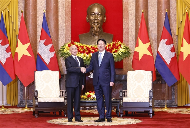 Cambodian King Norodom Sihamoni Holds Talks with Vietnamese President Lương Cường