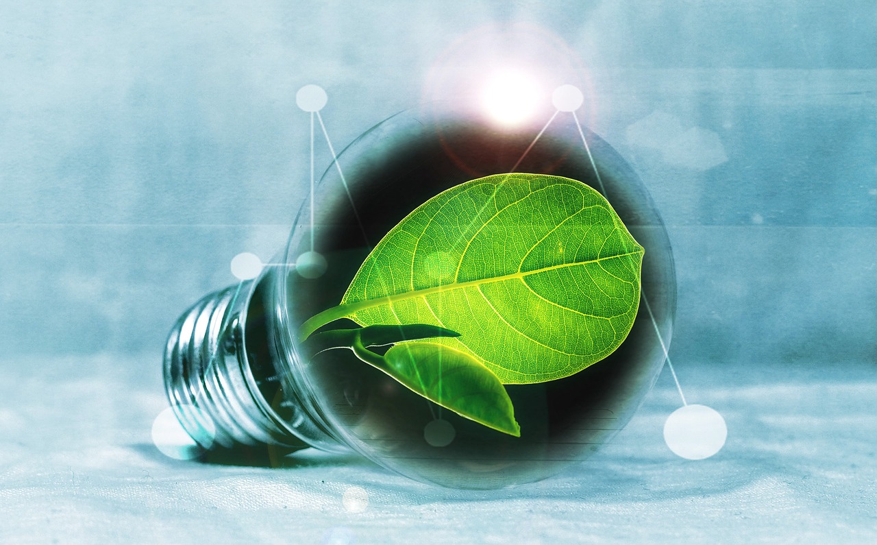 Uzbekistan and GGGI Strengthen Green Economy Cooperation with New Framework Agreement 1 GGGI