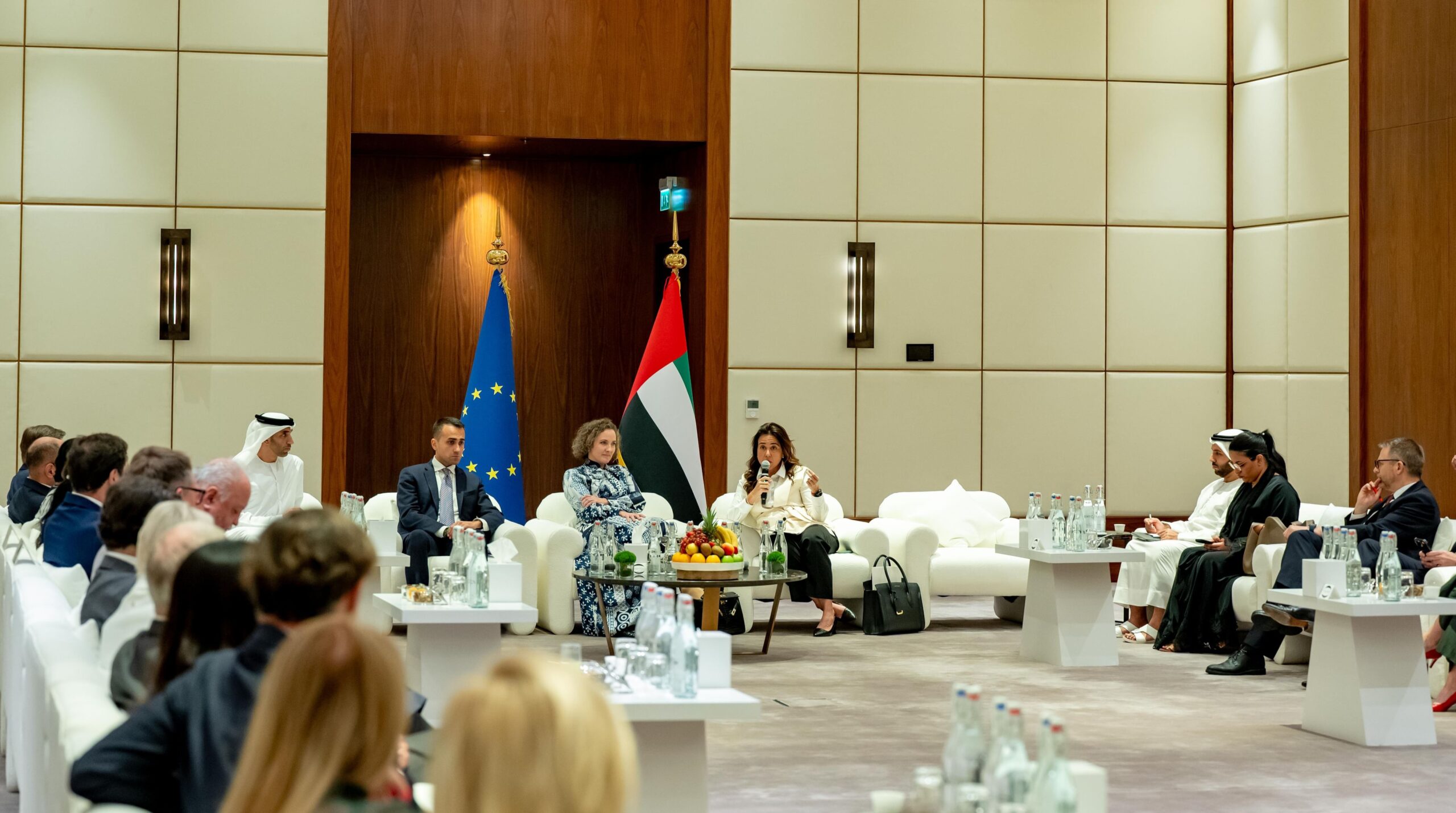 EU and UAE Celebrate 10 Years of Strategic Partnership with Majlis in Abu Dhabi 1 Abu Dhabi