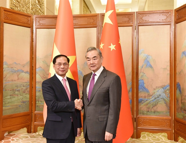 Vietnam And China Strengthen Comprehensive Cooperation At 16th Steering ...