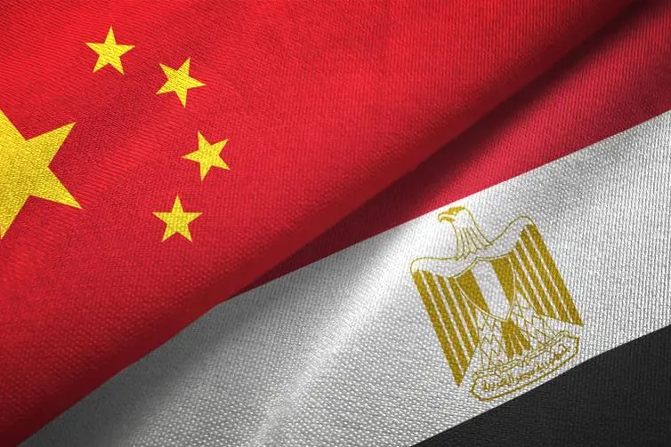 Egyptian Foreign Minister to Co-Chair Strategic Dialogue in China 1 Strategic