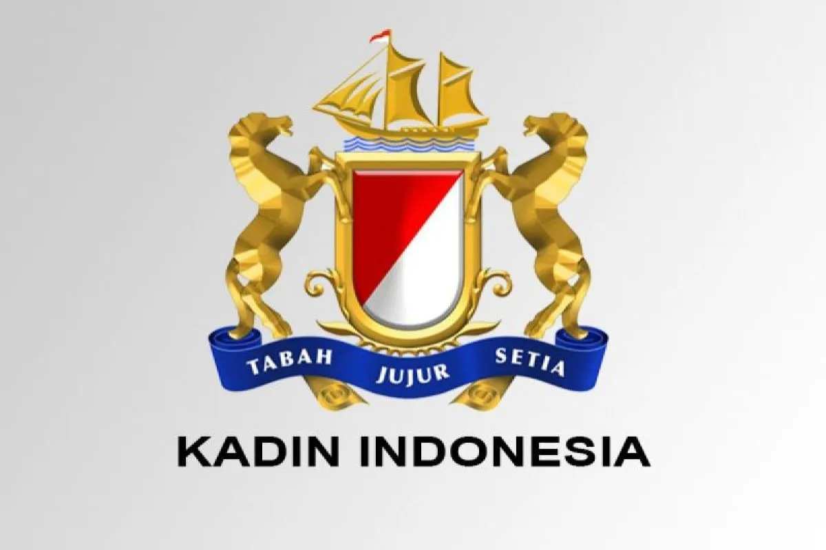 Indonesia and Pakistan to Strengthen Cooperation in Key Sectors: Kadin Chairman Anindya Bakrie 1 Kadin Chairman Anindya Bakrie