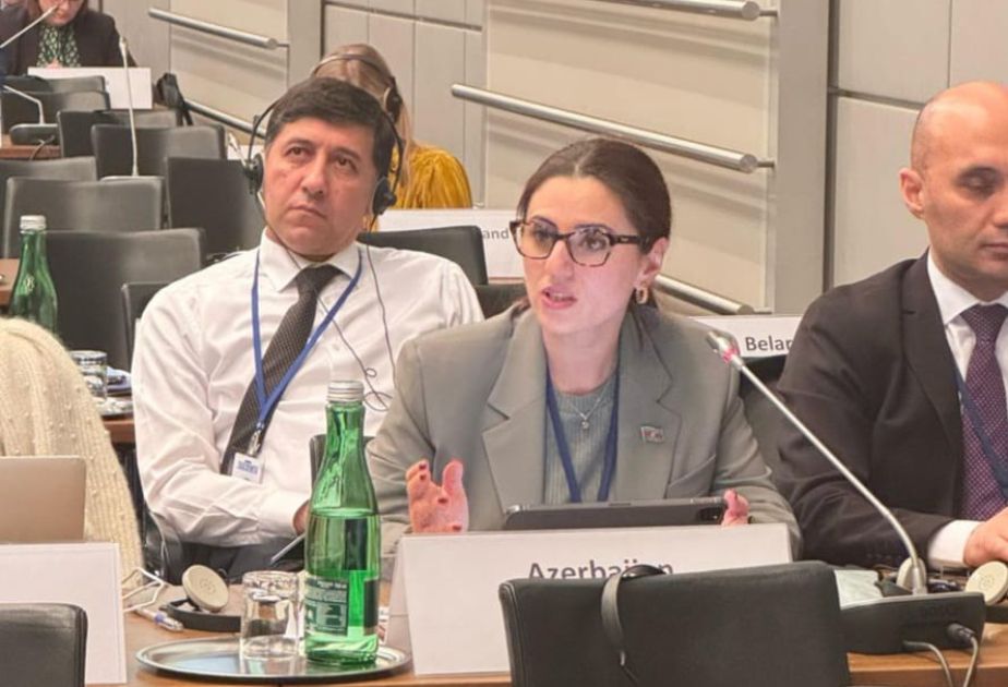 Azerbaijan Highlights Role of Digital Platforms in Elections, Rejects Misinformation Attempts