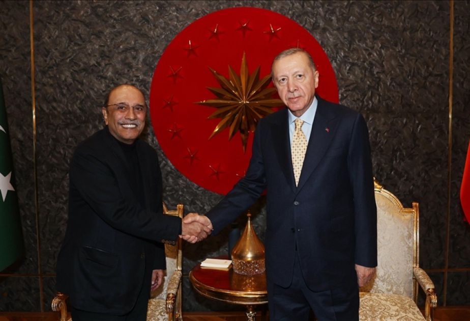 President Asif Ali Zardari Meets Turkish President Erdogan in Istanbul