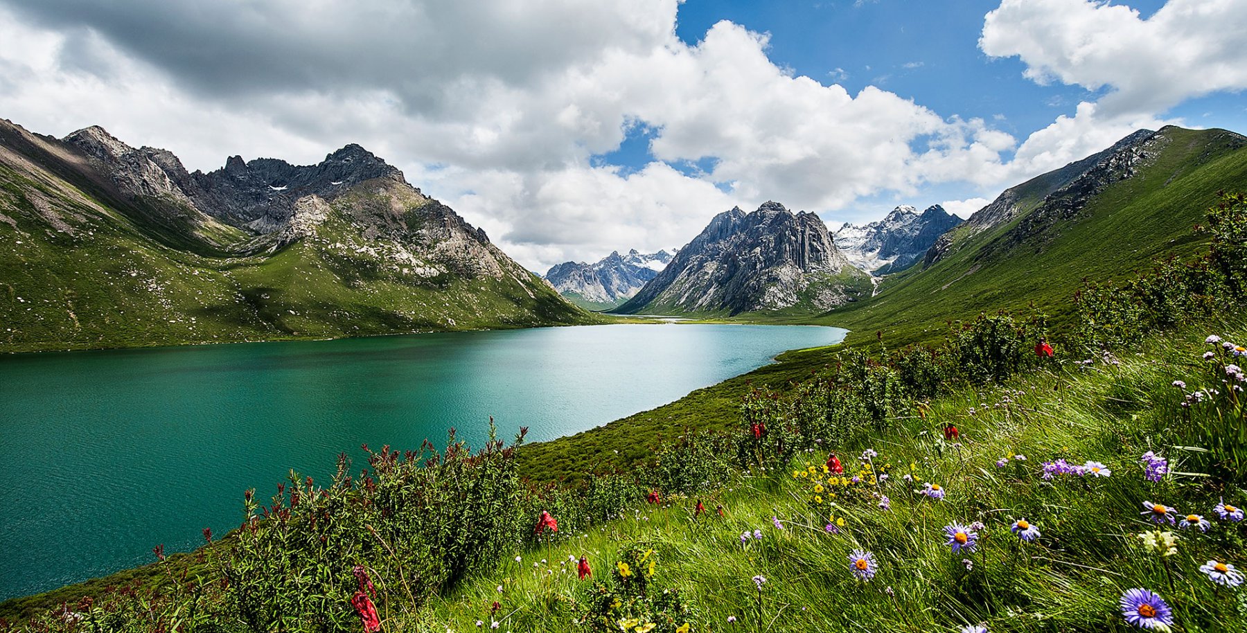 From Sanjiangyuan to Global Biodiversity Protection 1 Biodiversity