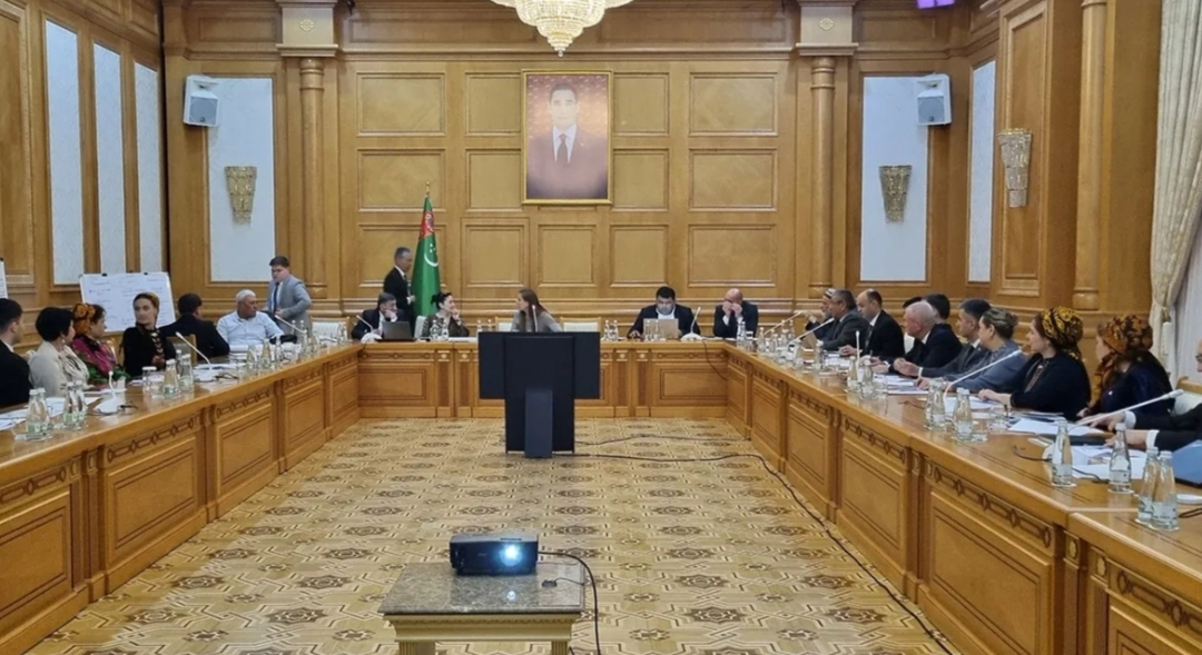Ashgabat Hosts Interdepartmental Consultations on Climate Subsidies and Green Technologies 1 Climate