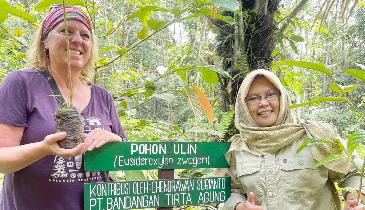 Indonesian, Canadian Scholars Plant Rare Ulin Trees in Kalimantan 1 Indonesian, Canadian Scholars Plant Rare Ulin Trees in Kalimantan