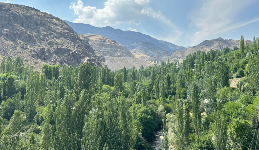 Discover Uzbekistan’s Untouched Destinations: Hidden Treasures of Eco-Tourism 3 image 38