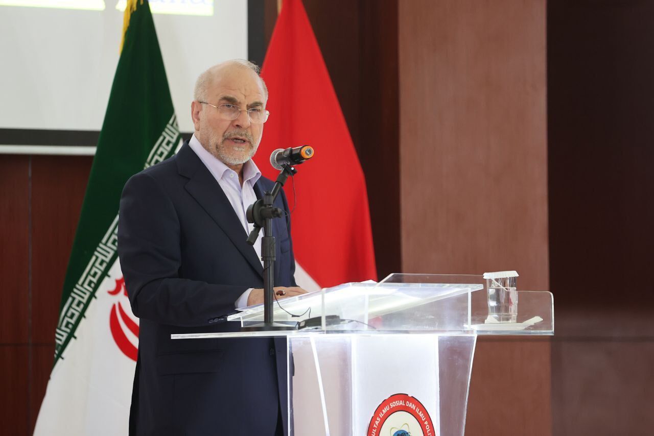 Iranian Parliament Speaker Urges Islamic Solidarity with Gaza 6 Iranian Parliament Speaker Urges Islamic Solidarity with Gaza