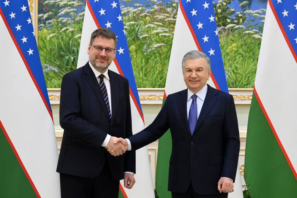 President of Uzbekistan Receives EU Special Representative to Discuss Expanding Cooperation