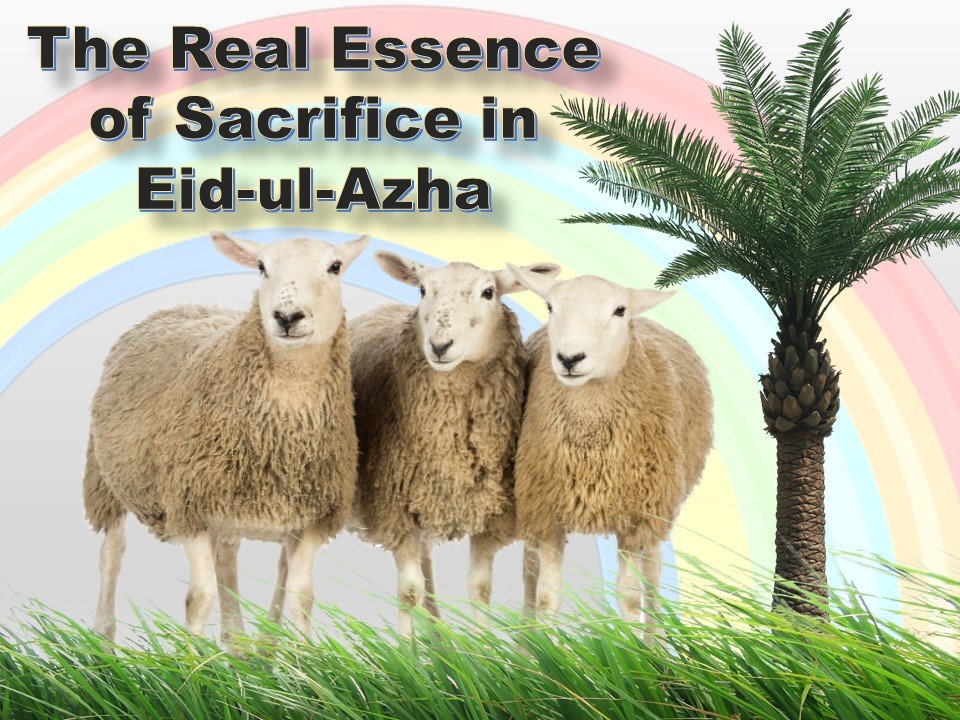 We Remember the Ram, But Not the Conversation 7 We Remember the Ram, But Not the Conversation