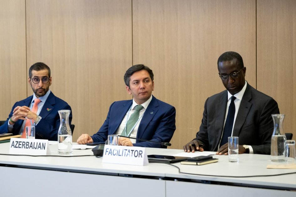 Azerbaijan’s “Climate and Peace” Diplomacy Receives Widespread International Endorsement