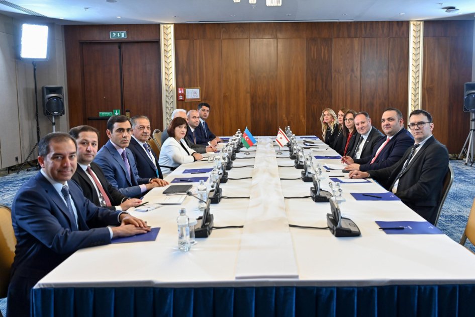 Azerbaijani and TRNC Parliamentary Speakers Discuss Strengthening Turkic Cooperation
