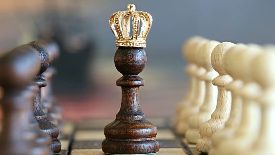 36th Czech Open Festival Welcomes 4,000 Global Competitors Across Chess and Mind Games 1 36th Czech Open Festival