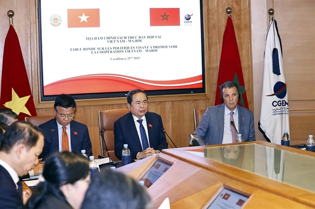 Vietnam, Morocco Seek Stronger Economic and Legislative Cooperation Through Policy Dialogue 1 Morocco