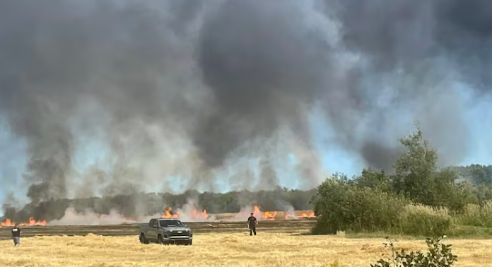 Fire Officials Warn of Extreme Dryness After Multiple Blazes Across Prince Edward Island 1 Prince Edward