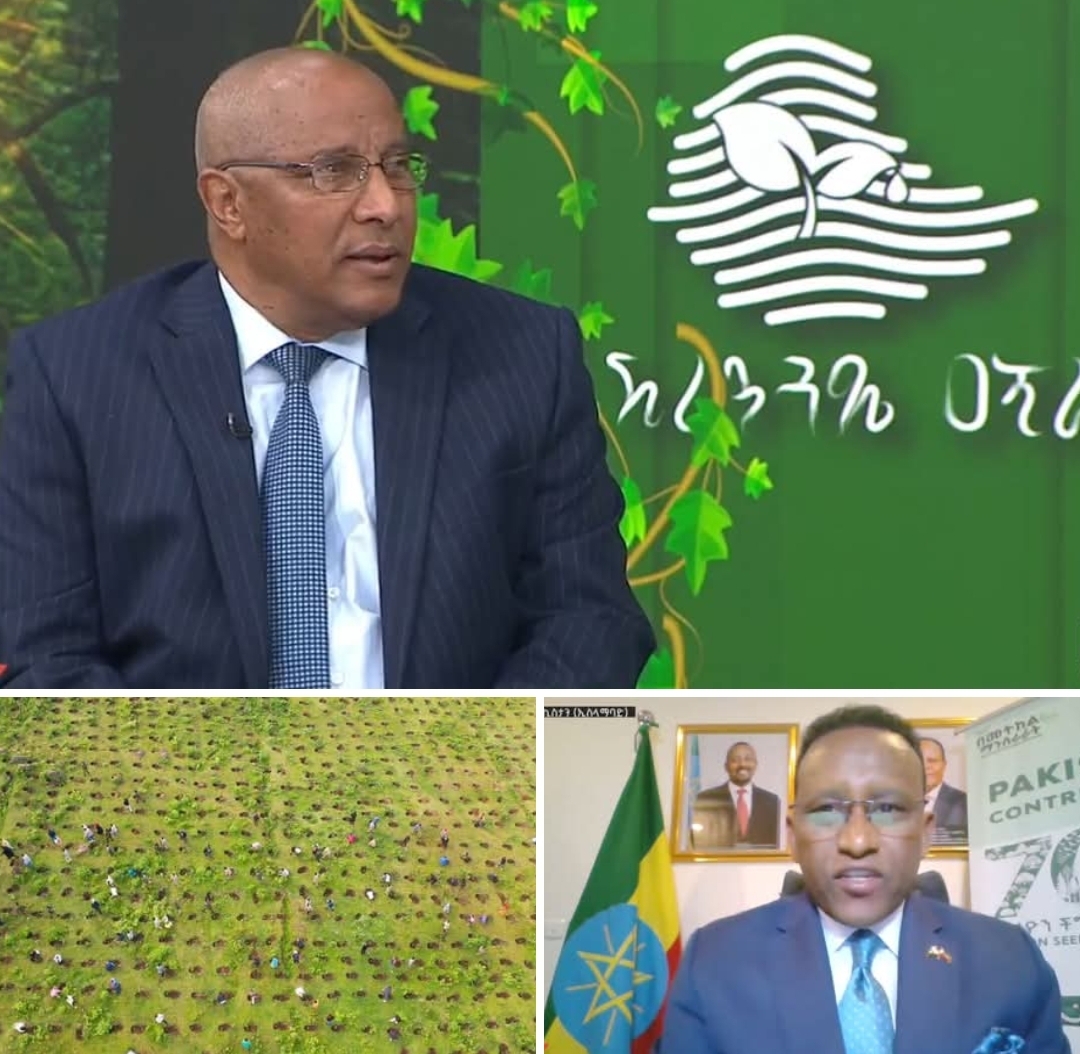 Ethiopia’s “Green Footprint” Gains Global Attention as Over 714 Million Seedlings Planted in a Single Day 10 Green Footprint
