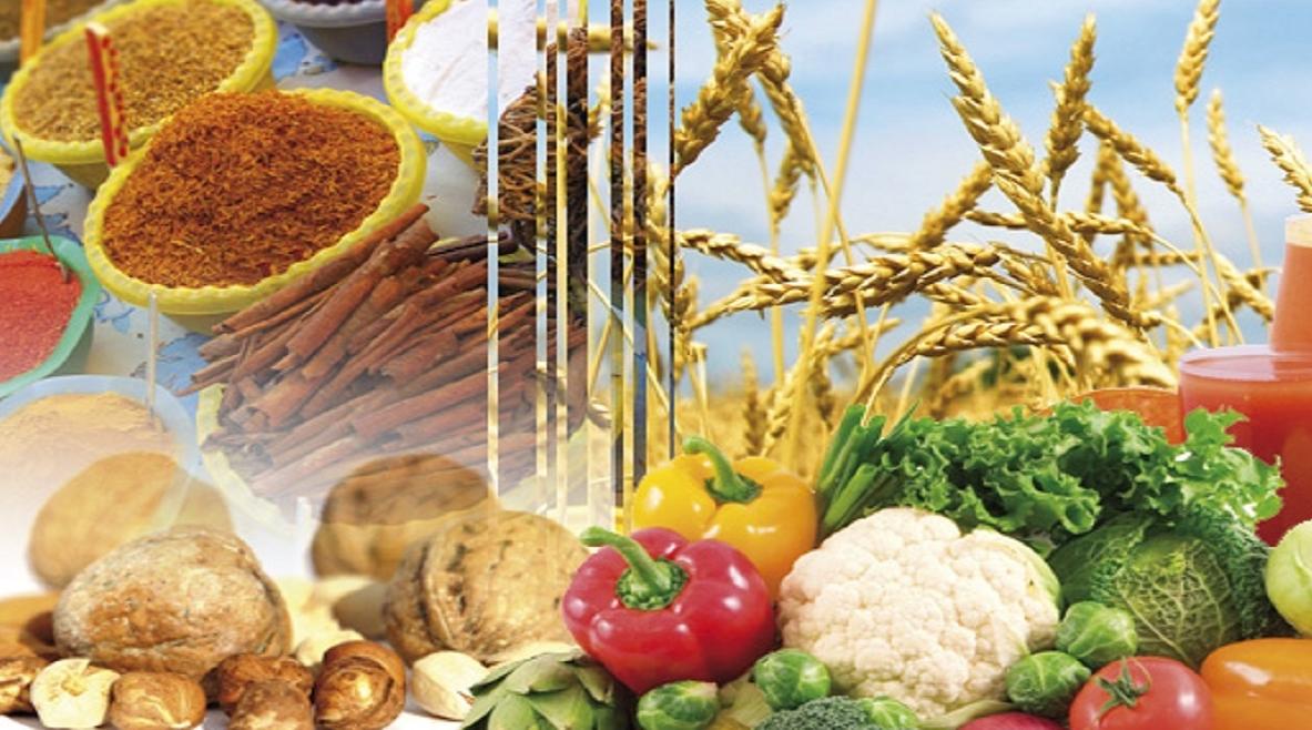 Morocco to Host First Agro Export Day to Promote ‘Made in Morocco’ Agro-Food Products 7 Morocco