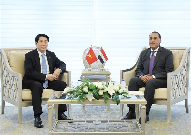 Vietnamese President Lương Cường Meets Egyptian Prime Minister Mostafa Madbouly 1 Lương