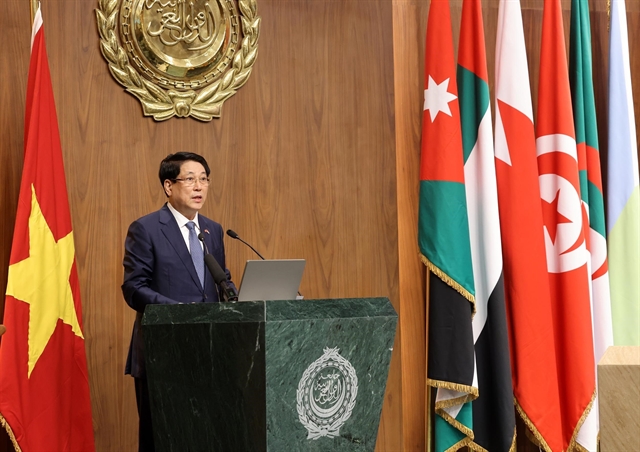 President Lương Cường Calls for Stronger Vietnam–Arab League Cooperation During Policy Address in Cairo 9 Vietnam