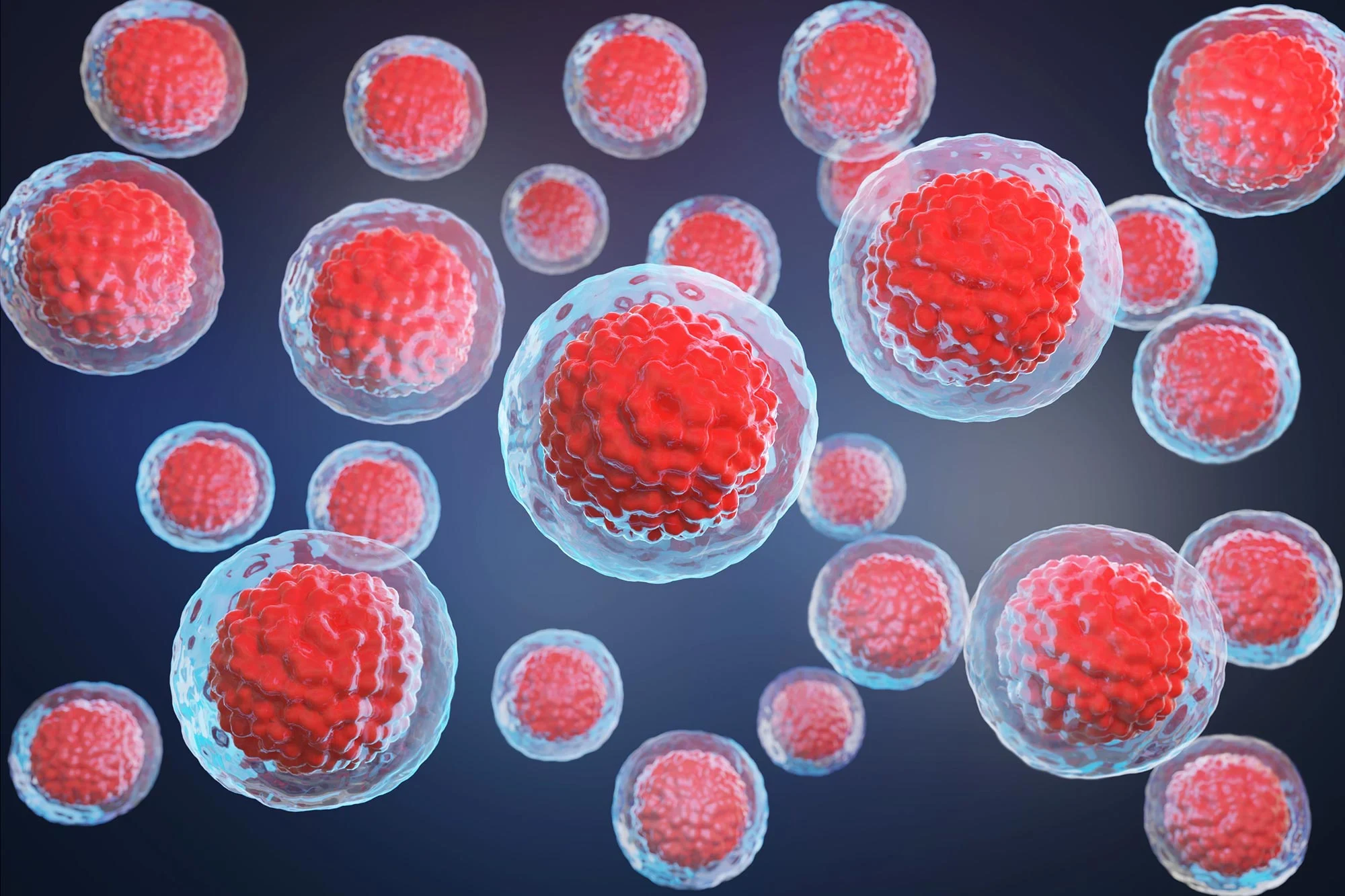 Moroccan Researchers Achieve First Success in Reprogramming Blood Cells into Stem Cells 9 Moroccan