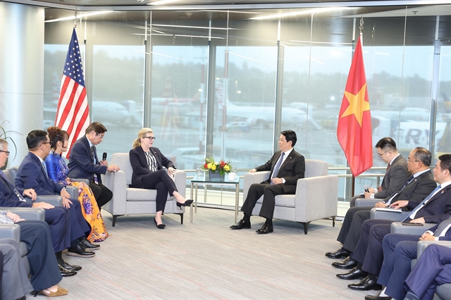 Vietnamese President Lương Cường Meets Boeing Executive to Strengthen Aviation Cooperation 1 Boeing
