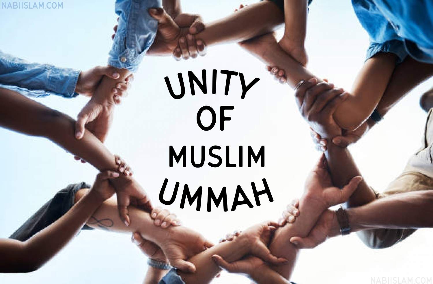 A Scattered Ummah And The Ruthless Python 1 Python