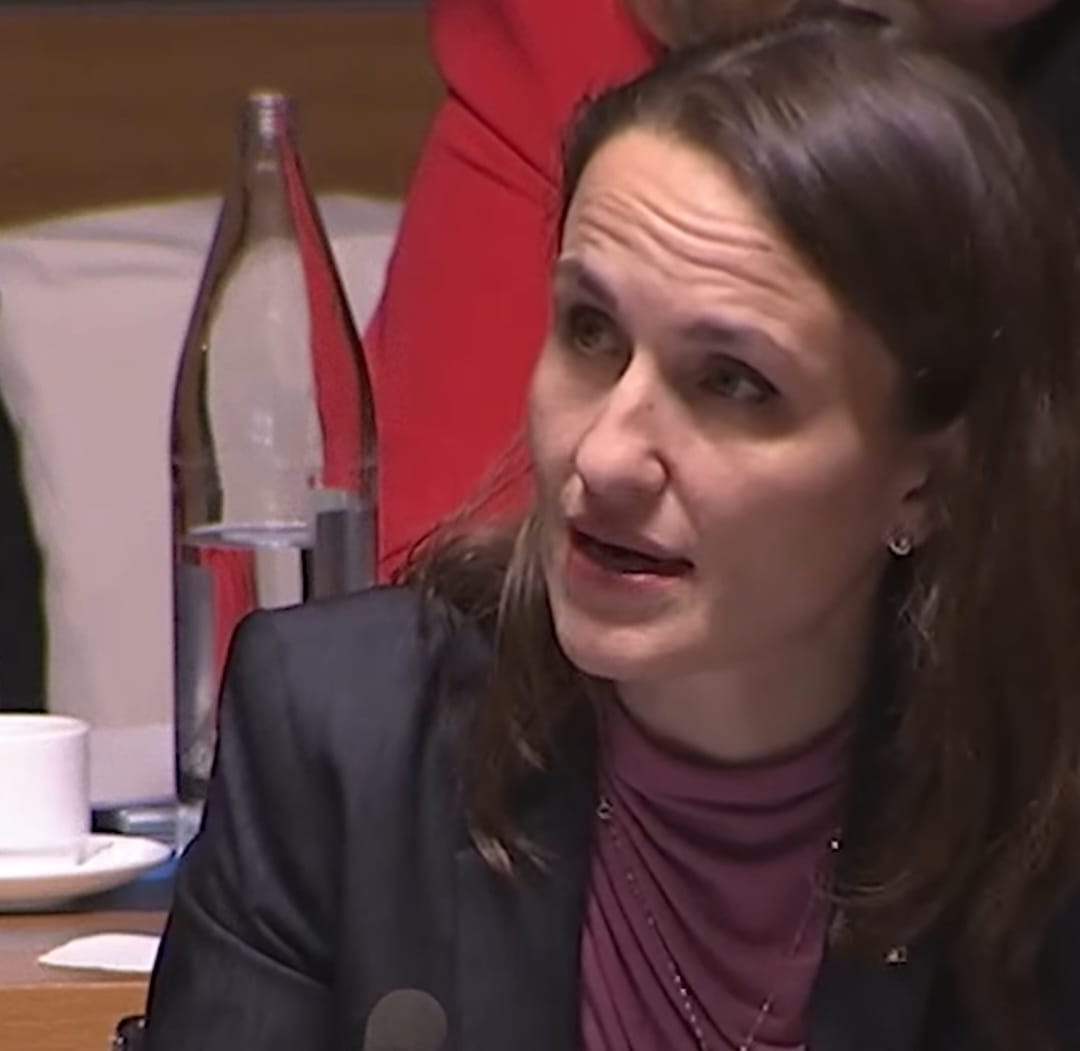 Romanian FM Urges Strong EU Support for Cohesion, Agriculture, and Strategic Industries in 2028–2035 Budget 1 Romanian FM Urges Strong EU Support for Cohesion, Agriculture, and Strategic Industries in 2028–2035 Budget