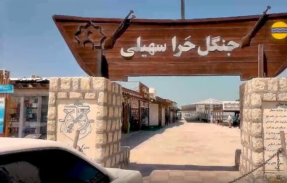 Qeshm’s Hara Forests: A Living Testament to Nature’s Harmony and Iran’s Global Ecological Heritage 1 Forests