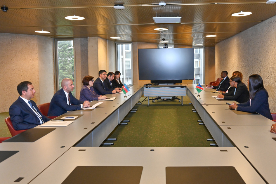 Azerbaijani Speaker Meets Counterparts from Namibia and Bosnia and Herzegovina in Geneva 10 Speaker
