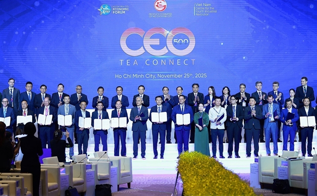 PM Chính Calls for Stronger International Support to Advance HCM City’s Vision of Becoming a Global Megacity 3 Chính