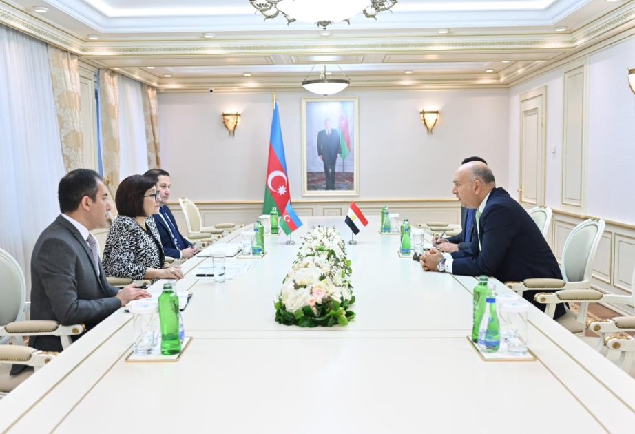 Azerbaijan, Egypt Highlight Strengthened Parliamentary and Bilateral Ties 6 Azerbaijan