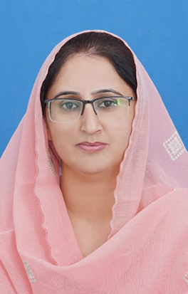 Perspectives on the Future and Sustainability of BRI Infrastructural Projects in Balochistan 2 image 2