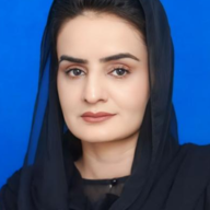 A SWOT Analysis of BRI in Context of Socio-Economic Impact, Tourism, and Global Partnerships 2 image 4