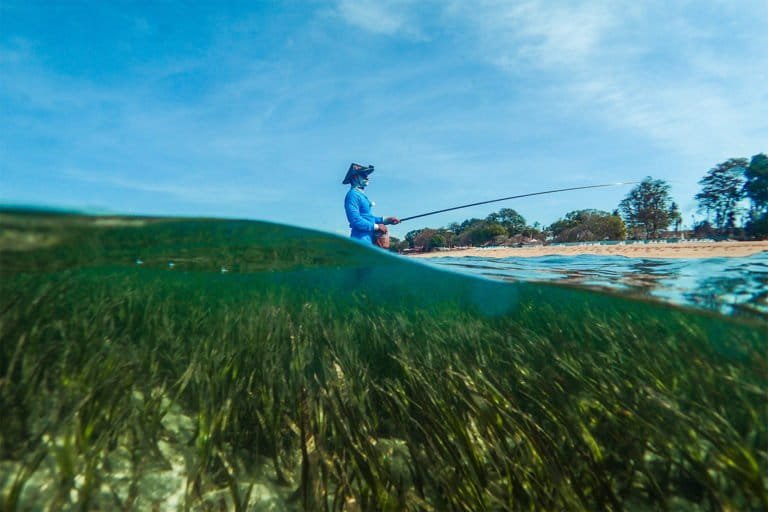 Indonesia Strengthens Seagrass Blue Carbon Standards to Boost Climate Action and Coastal Conservation 5 Indonesia