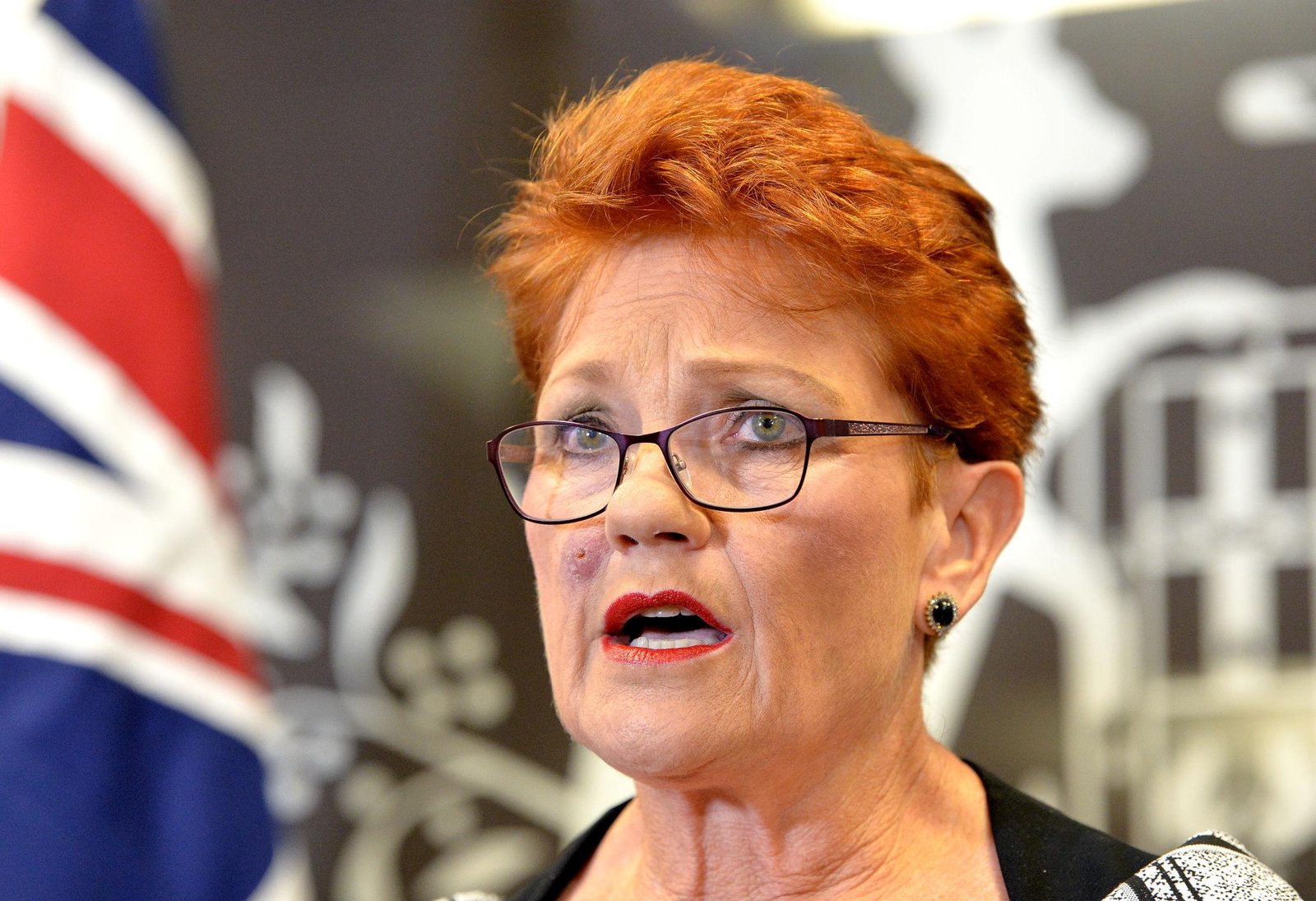 Australia’s Race Discrimination Commissioner Urges Apology Over Anti-Muslim Remarks by Pauline Hanson 20 Discrimination