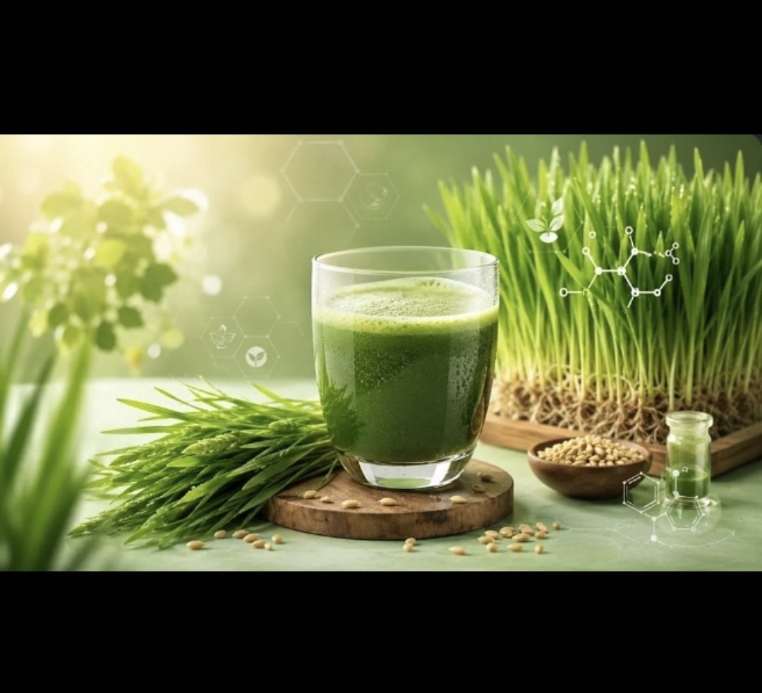 Green Vitamin
