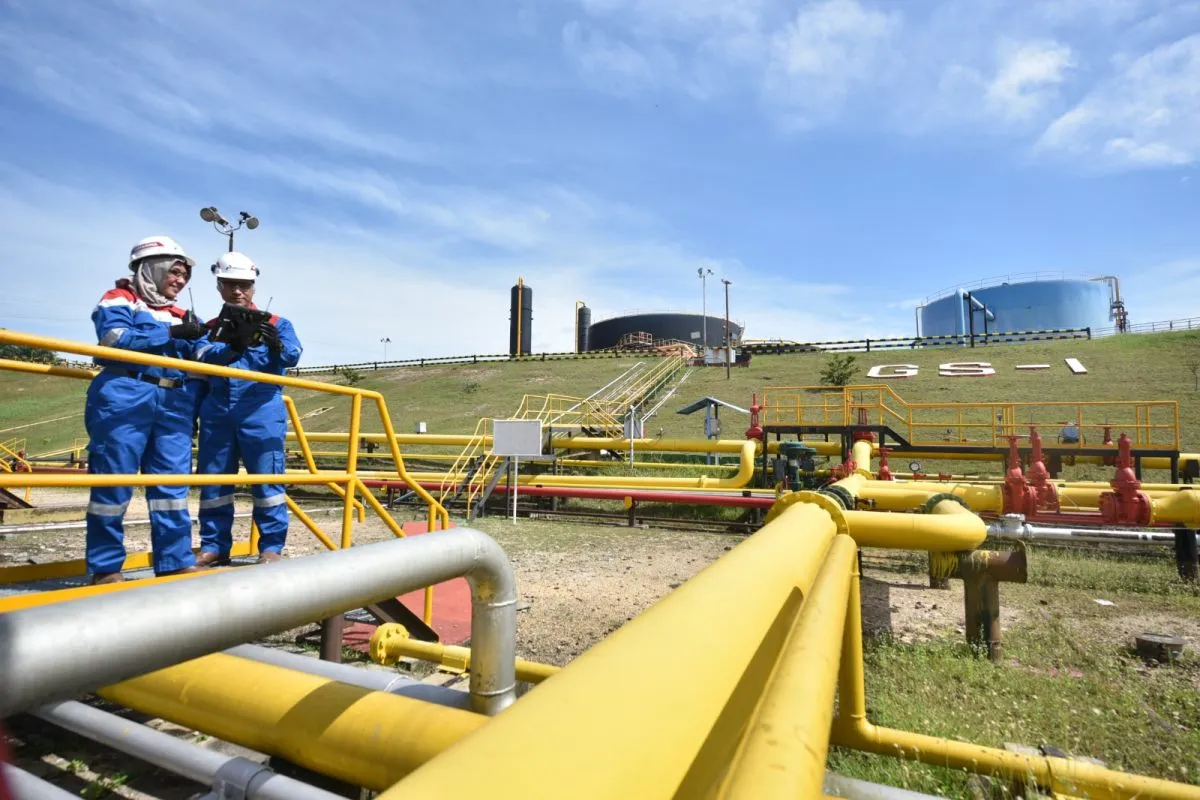 Oil