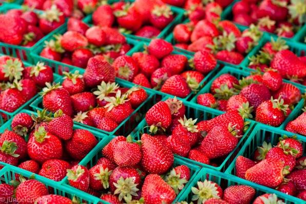 Study Finds Endocrine-Disrupting Substances in Swedish Strawberries, Authorities Say Levels Pose No Risk 15 Study Finds Endocrine-Disrupting Substances in Swedish Strawberries, Authorities Say Levels Pose No Risk