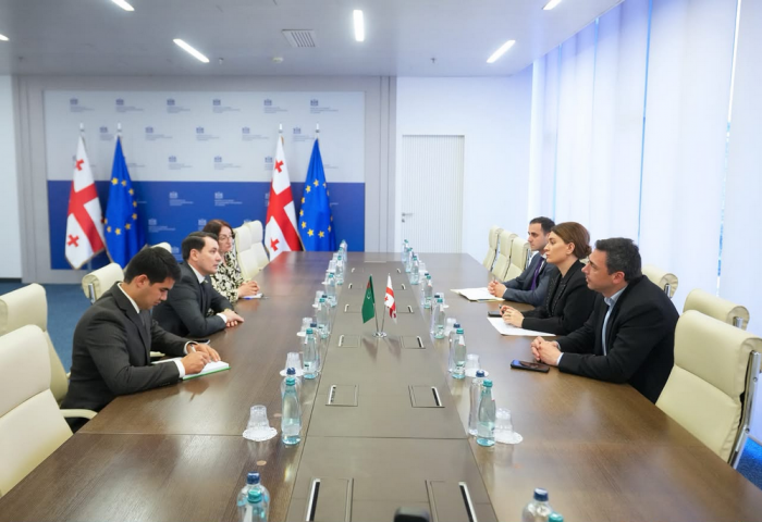 Turkmenistan, Georgia Reaffirm Commitment to Strengthen Trade and Economic Cooperation 2 Turkmenistan