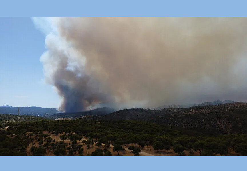 Wildfires