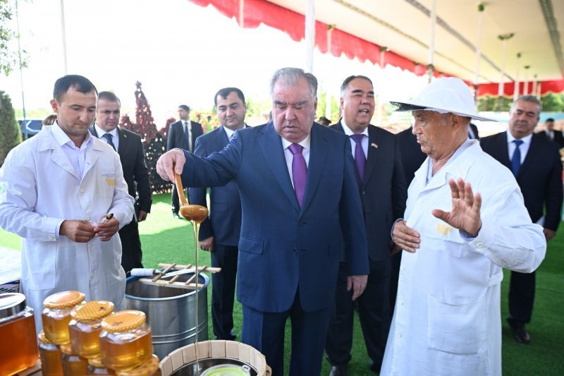 President Emomali Rahmon Visits Agricultural Exhibition 10 Rahmon