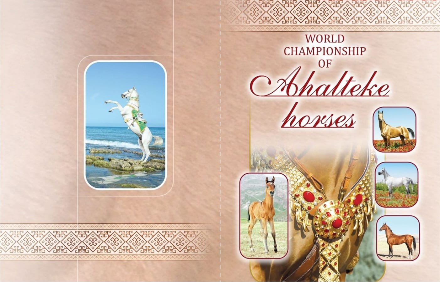 World Beauty Championship of Akhal-Teke Horses to Showcase Turkmen Equestrian Heritage in Netherlands 12 World Beauty Championship of Akhal-Teke Horses to Showcase Turkmen Equestrian Heritage in Netherlands