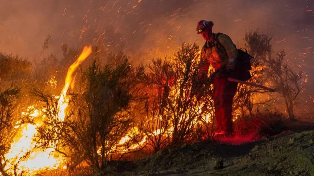 UK Government Issues Severe Wildfire Alert as Extreme Heat Raises Fire Risk 2 Wildfire
