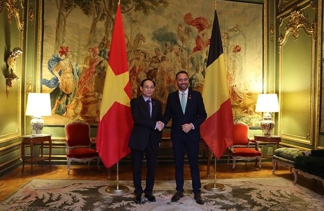 Viet Nam and Belgium Pledge Stronger Ties as Foreign Ministers Meet in Brussels 2 Viet Nam and Belgium Pledge Stronger Ties as Foreign Ministers Meet in Brussels
