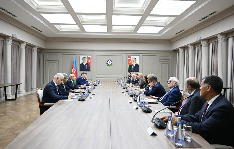 Azerbaijan PM Meets International Paralympic Leaders to Mark 30 Years of National Paralympic Committee 2 Paralympic Committee
