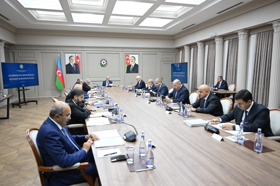 Azerbaijan’s Economic Council Reviews Oil, Gas and Petrochemical Industry Development 3 Economic