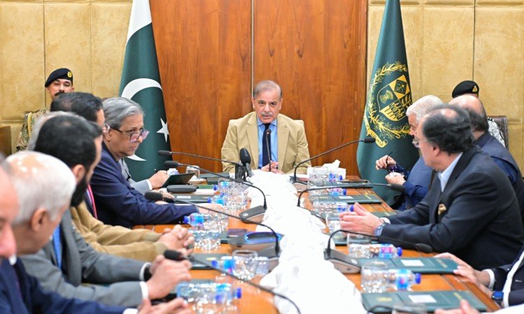 Federal Cabinet Recommends Emergency in KP Under Articles 232 and 234 of Constitution 2 Cabinet